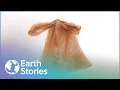 What Can We Do About Plastic Bag It