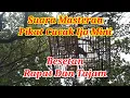 Download Lagu Suara Masteran Pikat Cucak Ijo Mini Besetan Rapat Dan Tajam