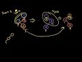 Advanced Data Structures AVL Tree Insertion