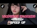 Download Lagu Lumpuhkanlah ingatanku (speed up +reverb)🔥lirik