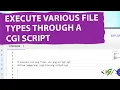 How to Execute Various File Types through a CGI Script using Htaccess in Website WordPress PHP