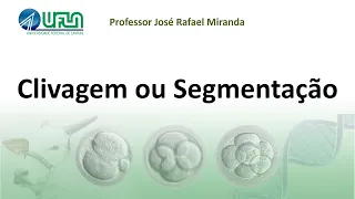 Clivagem ou Segmentação