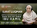 Surat Luqman Untuk Perkembangan Kecerdasan Otak Janin Dalam Kandungan Ibu Hamil Irama Bayyati Kurdi
