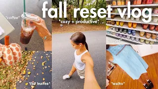 fall reset vlog cozy productive