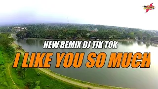 Download I Like you so much you'll know it  || NEW REMIX juli 2020 ||dj tik tok MP3