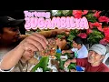 Download Lagu Tortang Bugambilya - EP1909