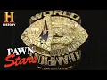 MAJOR CASH for 2004 Patriots Super Bowl Ring Season 5 Pawn Stars