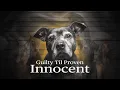 Guilty Til Proven Innocent Documentary Film 720