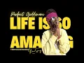 Download Lagu Perfect Giddimani - Life Is Amazing Official Video {Irie Sounds International}