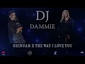 Shingar x The Way I Love You | Kaur B | Jorja Smith | DJ Dammie | 2025 Punjabi Remix