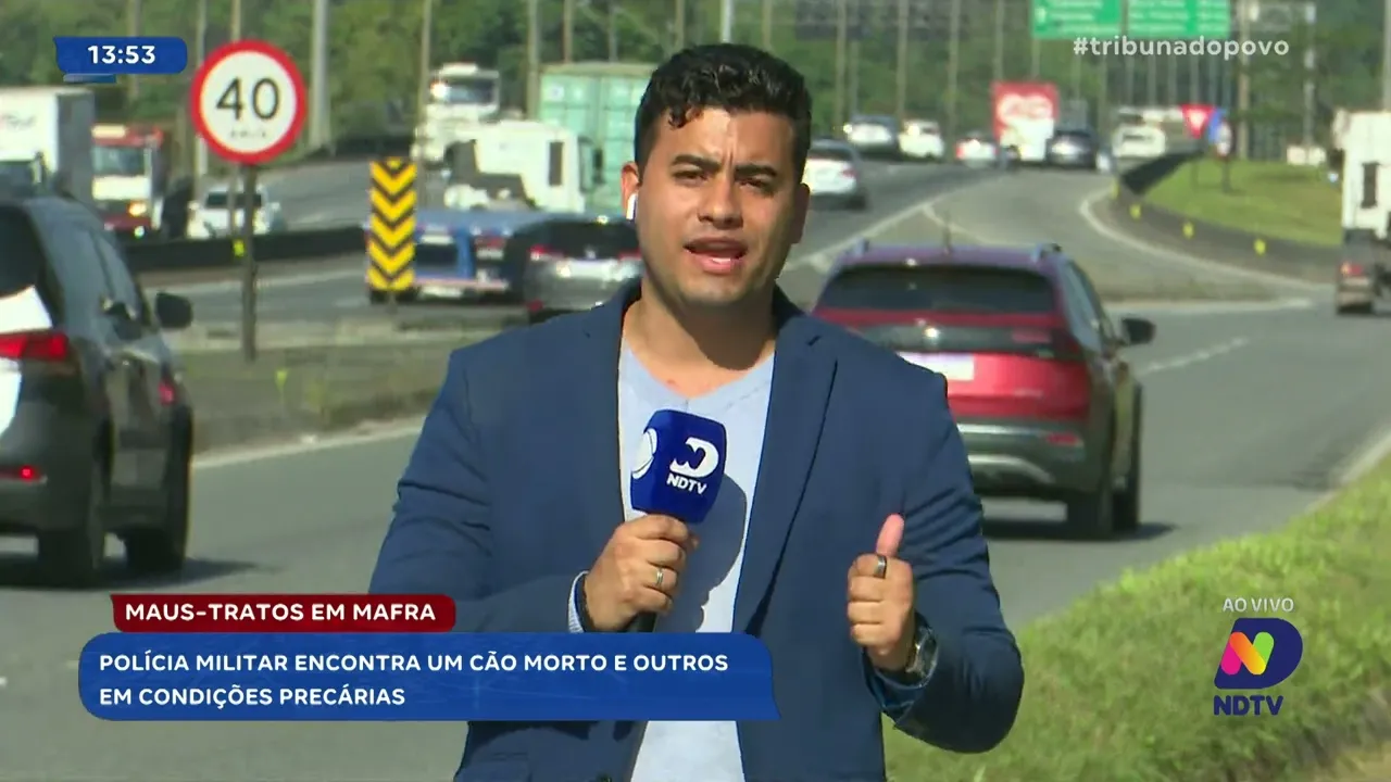 Maus-tratos em Mafra: Polícia militar encontra um cão morto e outros em condições precárias
