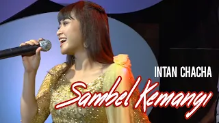 intan chacha sambel kemangi i dangdut dangdut official 