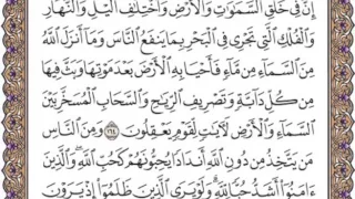 سورة البقرة الصفحه الخامسة والعشرون 25 