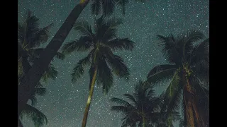 يرجون جنة ربهم         دندنها