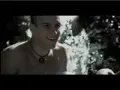 Com Certeza - Planta E Raiz