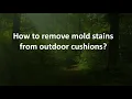 Download Lagu How to remove mold stains from outdoor cushions?