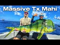 GIANT Texas Mahi Wahoo Deep-Drop Monsters 100 Miles Offshore