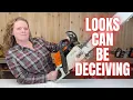 Buyer Beware Of Used Chainsaws Stihl MS 362 NON MTronic