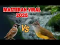 Download Lagu MASTERAN VIRAL 2025 + SUARA JERNIH