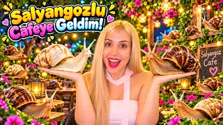 Salyangoz istilası cafe! Burada yemek yenir mi?