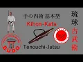 Tenouchi-Jutsu Kihon-Kata | 手の内術 基本型