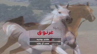 شيلة غرنوق   كلمات مناحي بوشيبه   اداء نجم الشيلات محمد ال راشد دندنها