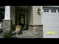 DFW Security Smart Locks