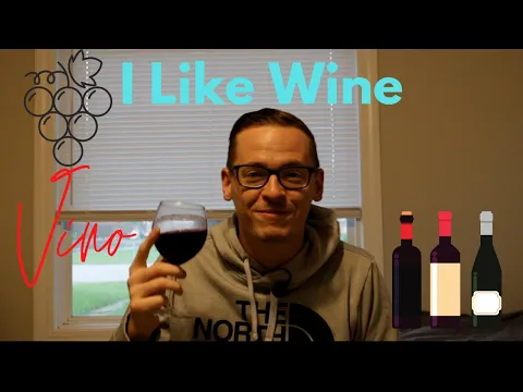Me Gusta Vino! I Like Wine! (Nivel Principiante) Aprender Vocabulario Naturalmente, Sin Estudiar!
