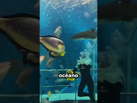 Ella persiguió la pelota y la llevó por todo el mundo 😱