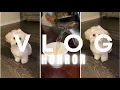 Thee worst Dog Grooming Experience Do NOT go to PETCO