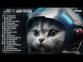 Download Lagu Em Bảo Rằng Đã Thấy Phép Màu - E Là Không Thể Remix - Nhạc Trẻ EDM 2025 Remix TikTok Hay Nhất