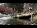 SOLO FLY FISHING CAMPING IN COLORADO