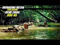 Download Lagu Sekelompok Petualang Masuk Ke Hutan Terlarang Demi Emas 600 Kg