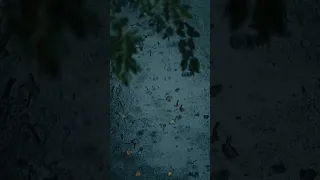 ویدیو خام باران بدون ایدی و متنبرای ساخت استوری با متن دلخواه شما 