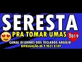 Lagu SERESTA LANÇAMENTO 2019 PRA TOMAR UMAS