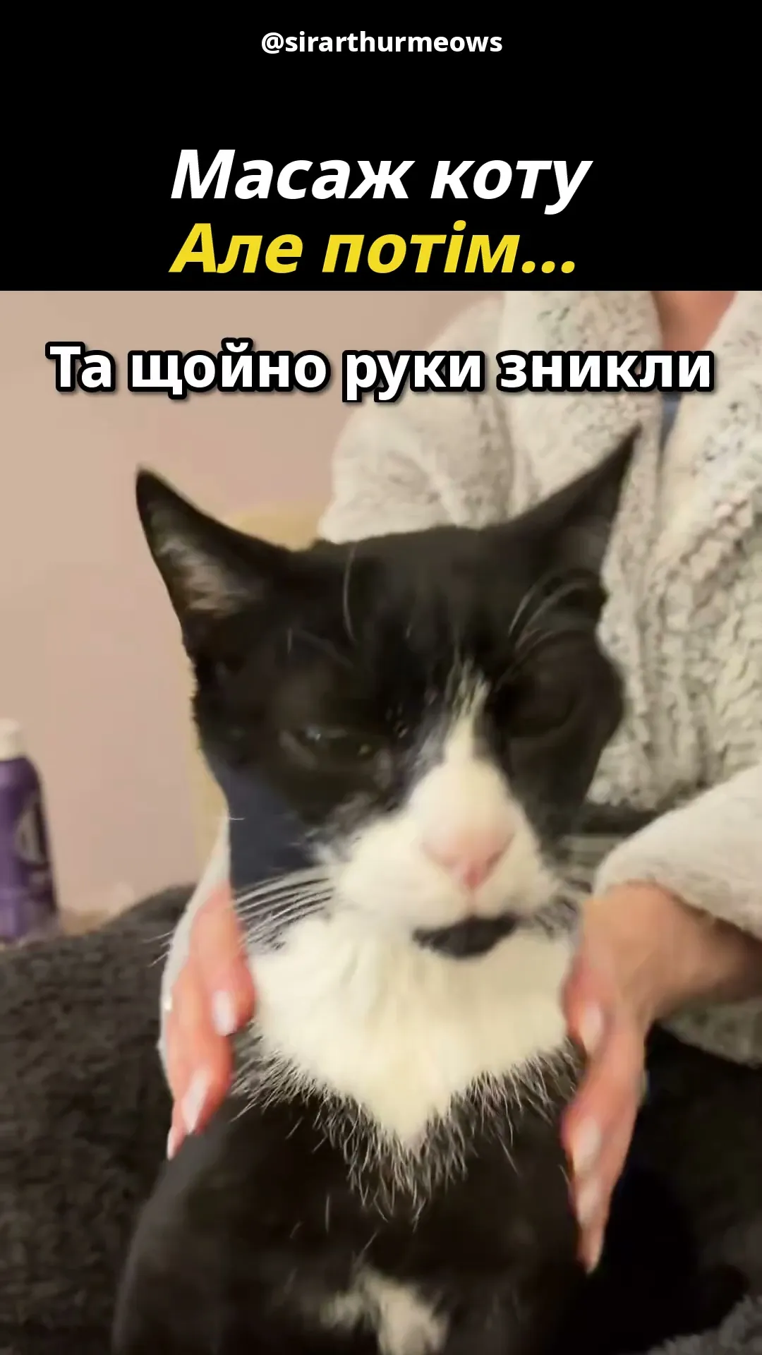 Масаж скінчився?! 😾