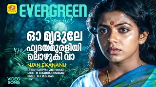 Oo Mridule Hridayamuraliyil | ഓ മൃദുലേ ഹൃദയമുരളിയിലൊഴുകി വാ | Njan Ekananu Movie Song | K J Yesudas