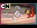 Download Lagu Looney Tunes 🐰| Bugs \u0026 Daffy Break All the Rules 🐰🪿 | Cartoon for Kids 😍| Compilation | @cnindia