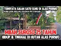 Download Lagu Kisah Mbah Suroso Sang Suhu di Hutan Alas Purwo | Lebih Dari 25 Tahun Tinggal di Alas Purwo