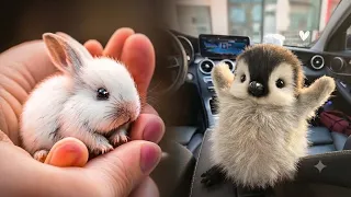 AWW Animals SOO Cute! Cute baby animals Videos Compilation cute moment of the animals #4 2026