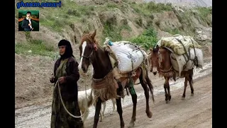 مقام بان بنه ای وه دنگ هنرمند قاسم نظری 