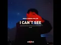 Lagu Row X Samuel Miller - I Cant See (Extended)