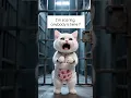 Download Lagu I didn't do it..🥲 the other one did #funny #cartoon #catvideos #like #shortsfeed #animation
