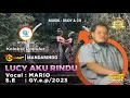 Download Lagu MARIO - LUCY AKU RINDU | Lagu Mandarin Indonesia