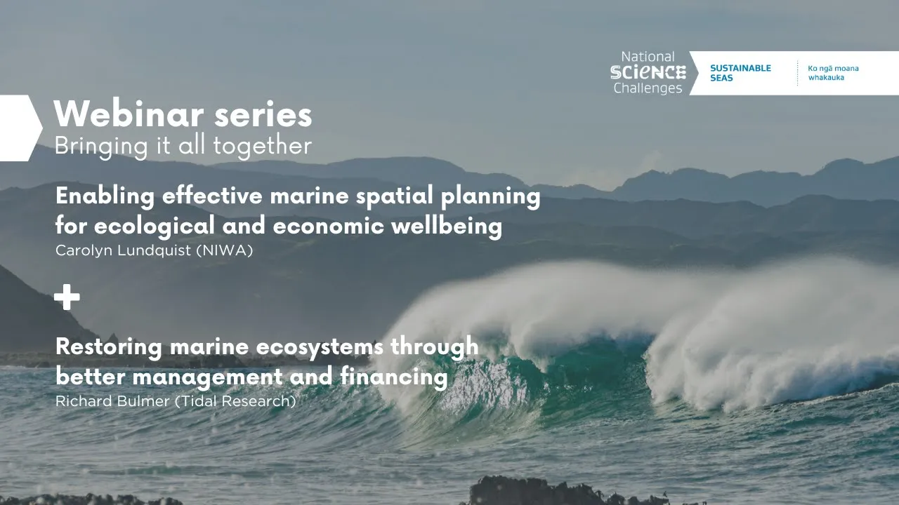 Enabling effective marine spatial planning and restoring marine ecosystems