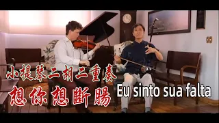 Download 二胡VS小提琴《想你想断肠》Eu sinto sua falta MP3