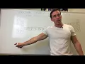 Structural organisation of the body Atoms to Organisms
