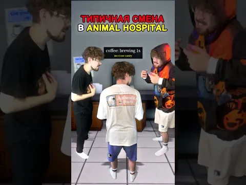 Типичная Смена в Animal Hospital в Роблокс