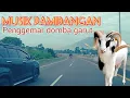 Download Lagu MUSIK DAN LAGU PAMIDANGAN🔴perjakanan tol bocimi penggemar domba garut