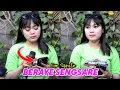 LAGU SASAK - BERAYE SENGSARE - VERSI ENA SISMITA FEAT KECIMOL NEW SAMBA TERBARU